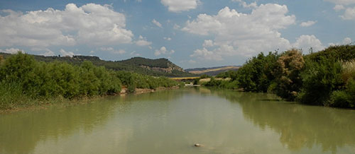 Riserva naturale orientata di Monte Capodarso e Valle Imera