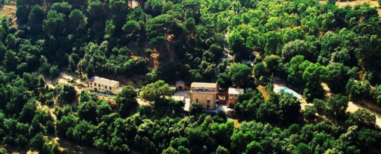 La Torre di Renda