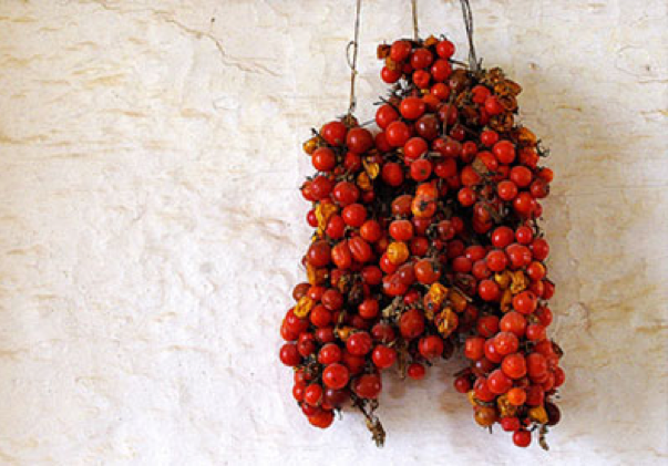 Hanging Tomatoes “A Pennula”